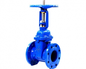 Flange gate valve